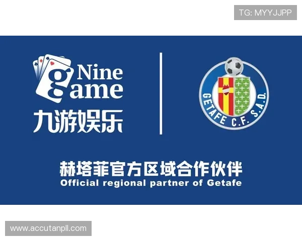 九游体育VIP直营平台合作伙伴介绍,打造多元化体育娱乐生态圈