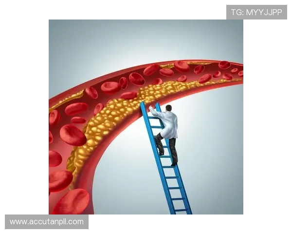 跑得快：从基础到高级的跑步技巧全面指南